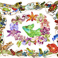 Basilisk, Orchids, Frogs