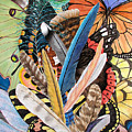 Bits of Flight