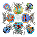 Toxic Tango II Peacock Spiders