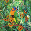 Red-collared Lorikeet